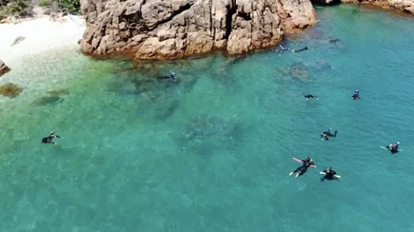 a group of people swimming in a pool of water