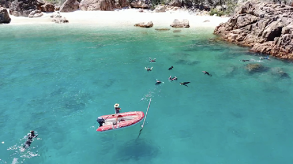 Solway Lass – Snorkelling Blue Pearl Bay a group of people swimming in a body of water