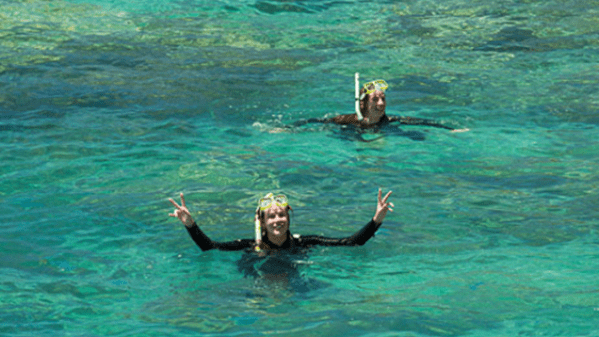 Solway Lass – Snorkelling a man swimming in a pool of water
