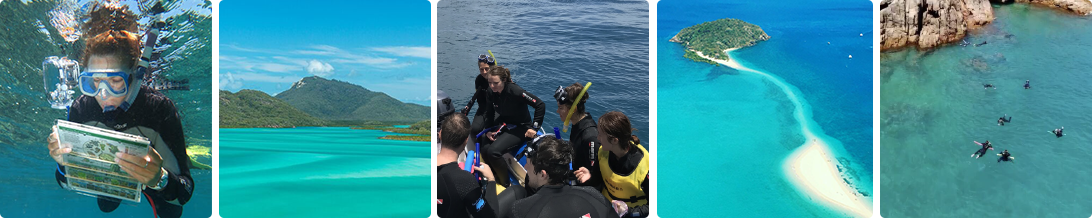 Reef Education Program 5 Images – Bottom Reef Education Program Photos