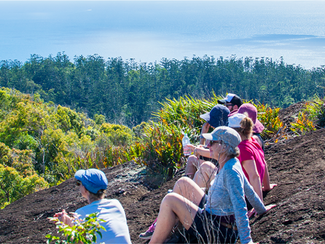 a group of people in a forest