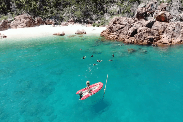 a group of people swimming in a body of water